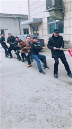 mmexport1548380179880